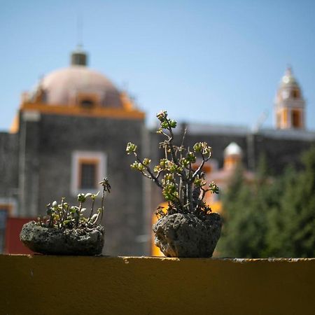 Majikal B&B - Krishna Cholula Exterior foto